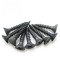 Factory Wholesale Black Phosphated Fine Coarse Thread Drywall Screw