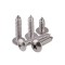 DIN7981 Stainless Steel Cross Recessed Pan Head Self-Tapping Screw