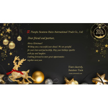 STRZ International Trade Team Christmas and New Year Greetings