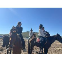 Team-Building on the Bashang Grasslands: Energy, Unity, and a Shared Vision