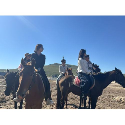 Team-Building on the Bashang Grasslands: Energy, Unity, and a Shared Vision