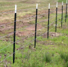 T-Posts: How a “T” Shaped Steel Post Supports the Global Fencing Industry