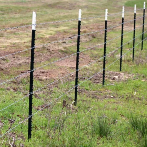 T-Posts: How a “T” Shaped Steel Post Supports the Global Fencing Industry