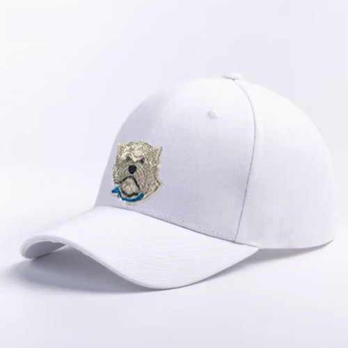 Customizable logo hat with NFC anti-counterfeiting label