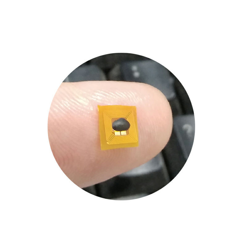 Las etiquetas NFC más pequeñas: Desbloqueo de microaplicaciones y posibilidades futuras