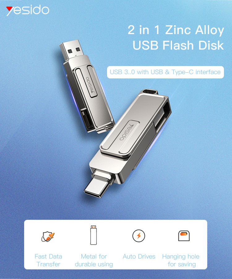 FL17 2 in 1 Type-c and USB Flash Disk