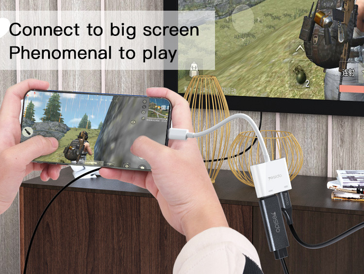 HM06 Lightning to HDMI Video Cable Details