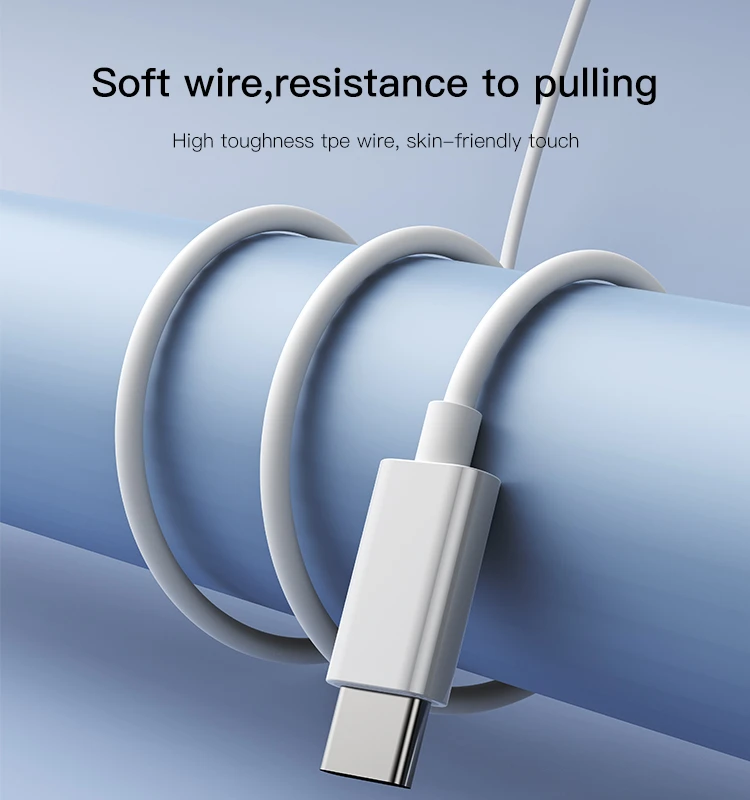 YH38 Type-C plug Wired Earphone Details