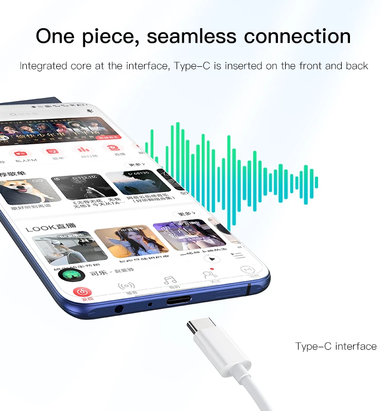 YH38 Type-C plug Wired Earphone Details