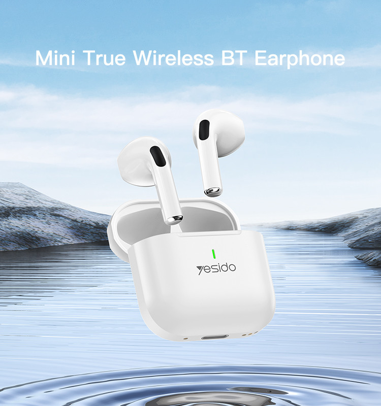 TWS17 True Wireless Earphone