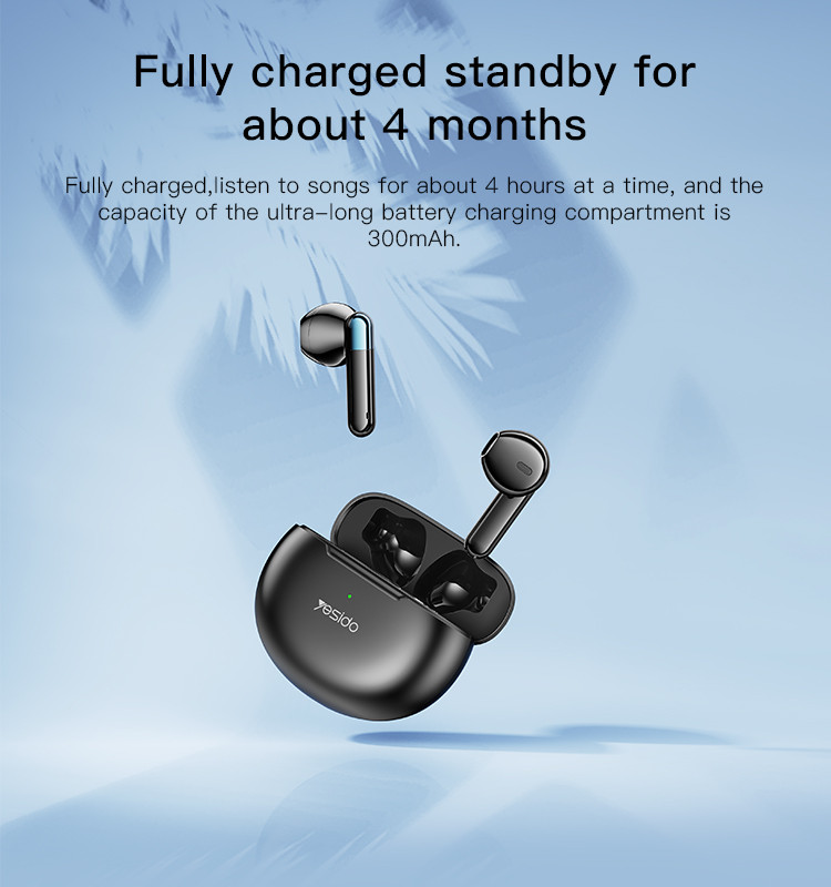 TWS12 True Wireless Earphone Details