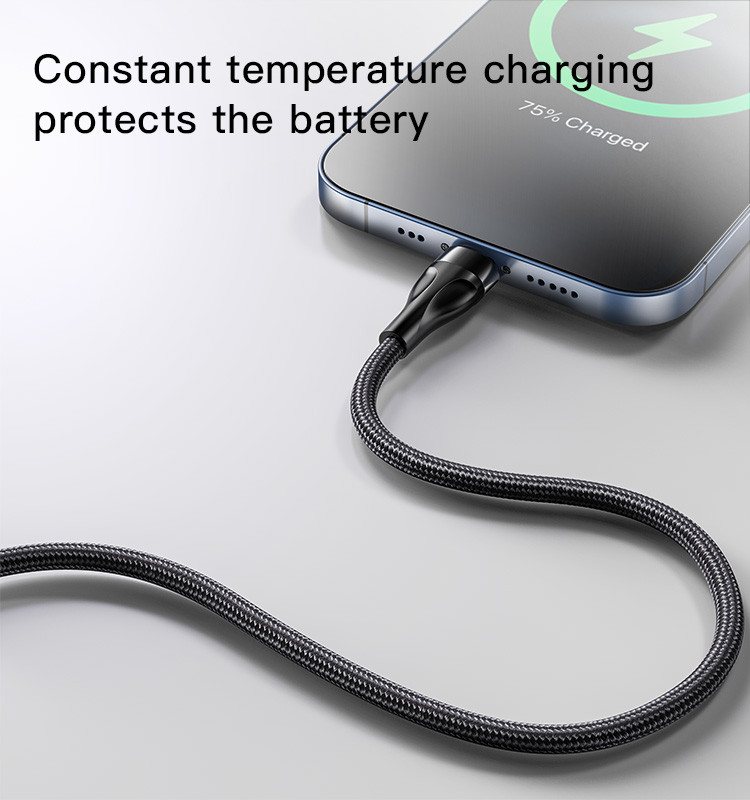 CA110 4 in 1 Type-C Data Cable Details