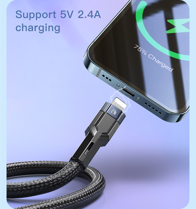 CA107 Type-C To Lightning Data Cable Details