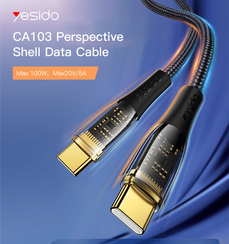 CA103 Type-C To Type-C 100W Fast Charging Data Cable