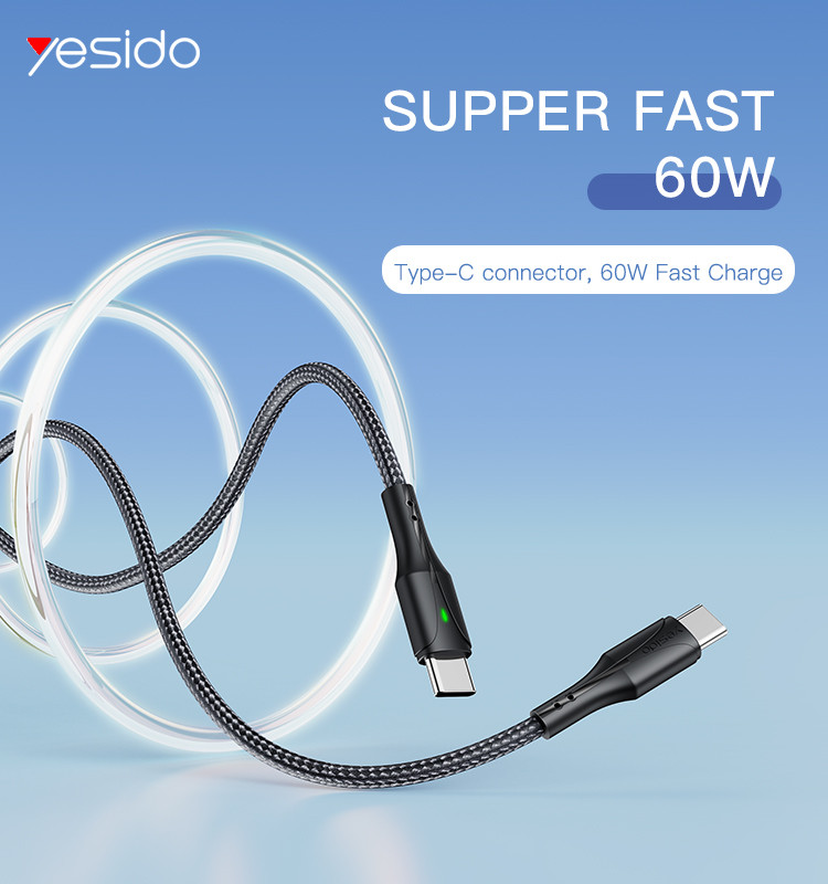 CA100 Type-C To Type-C 60W Fast Charging Data Cable