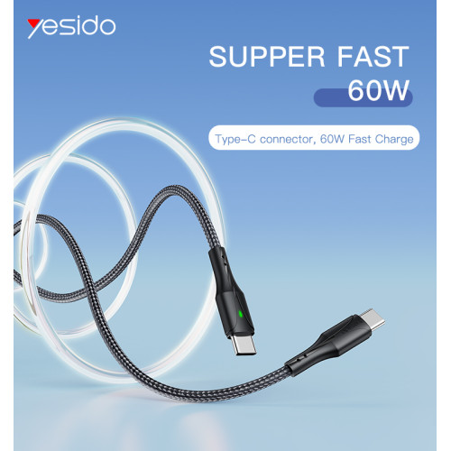 CA100 60W (20V/3A) Fast Charging USB Type-C Data Cable Nylon braided Cord Type-C to Type-C Cable