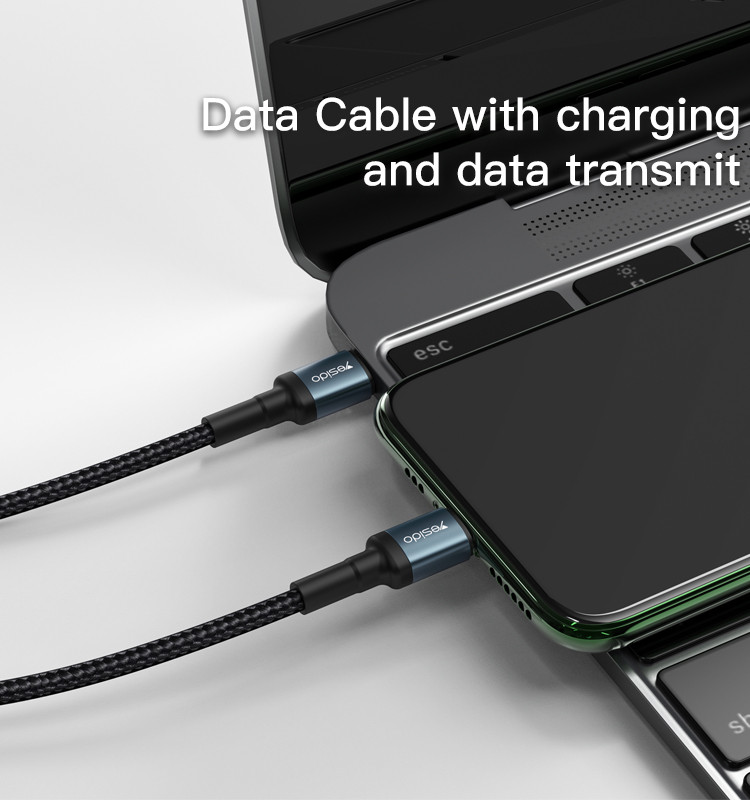 CA78 Type-C To Type-C Data Cable Details