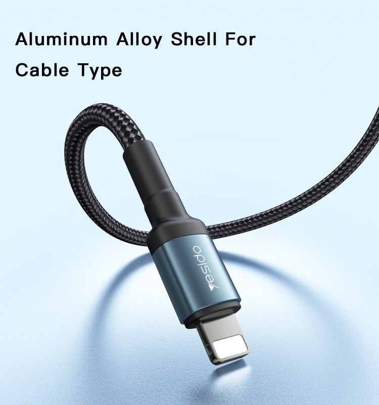 CA77 Type-C To Lightning Data Cable Details