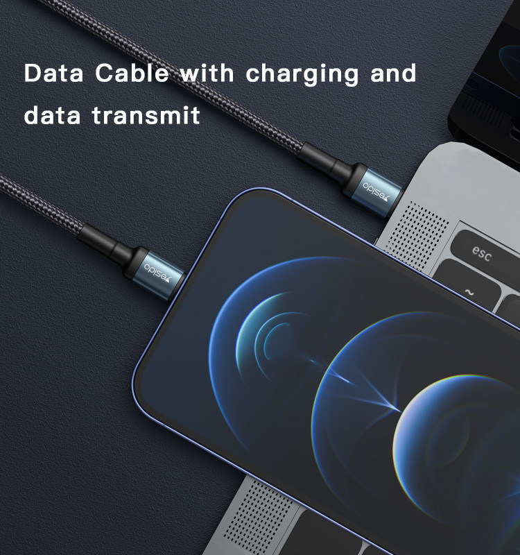 CA77 Type-C To Lightning Data Cable Details