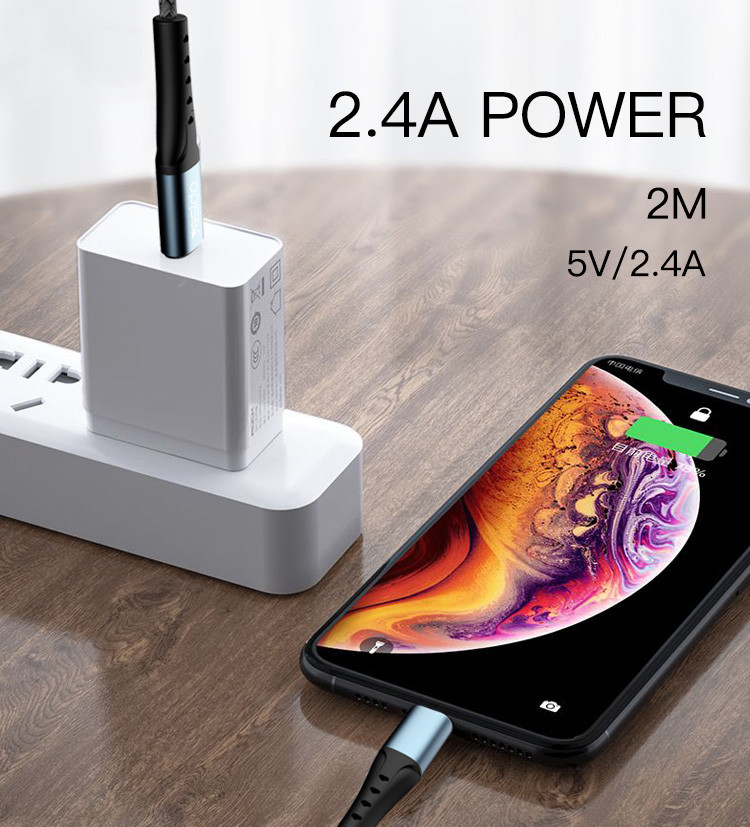 CA65 Type-C To Lightning Data Cable Details