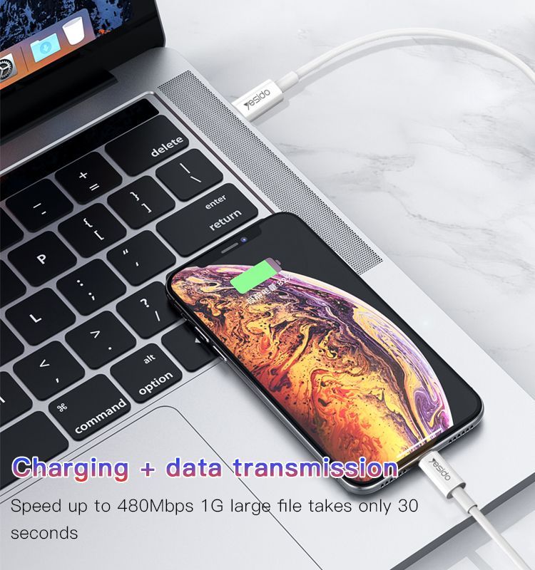 CA49 Type-C To Lightning Data Cable Details