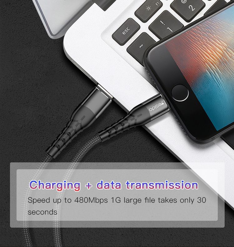 CA48 Type-C To Lightning Data Cable Details