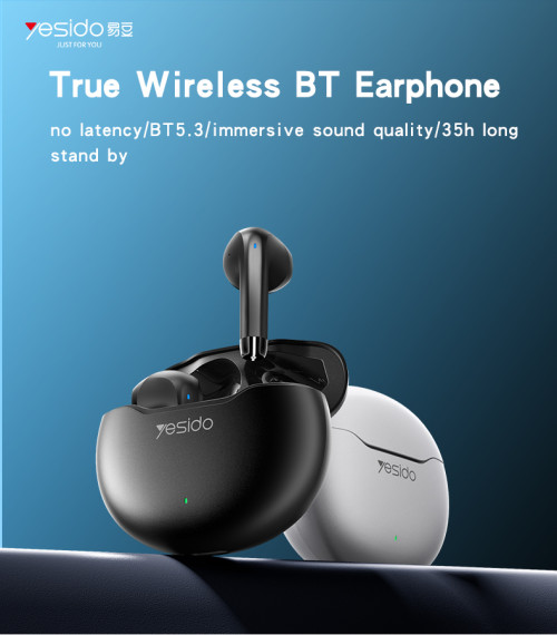 TWS21 Wireless Bluetooth Earphone ENC Ture Wireless Headphone Sport Headset