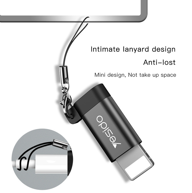 GS05 Lightning To Micro OTG Adapter Details