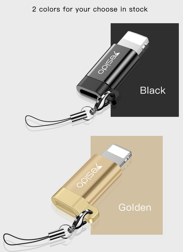 GS05 Lightning To Micro OTG Adapter Details