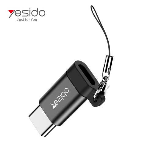 GS04 Micro To Type-C Easy To Carry Intimate Lanyard Design Mini OTG Adapter Charging Transmission