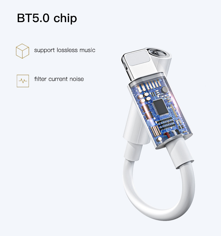 YAU31 Lightning To 3.5 mm Audio Adapter Details