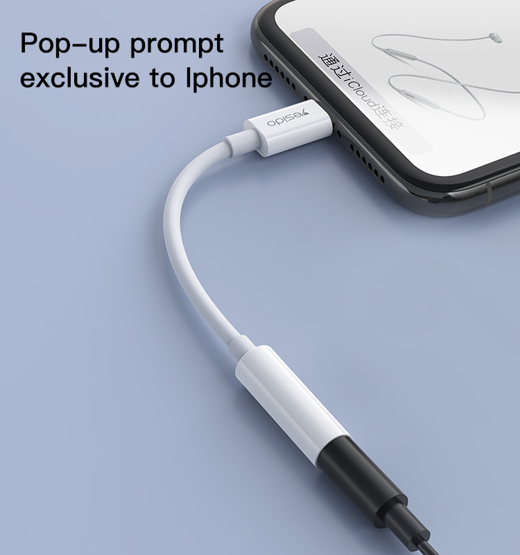YAU31 Lightning To 3.5 mm Audio Adapter Details