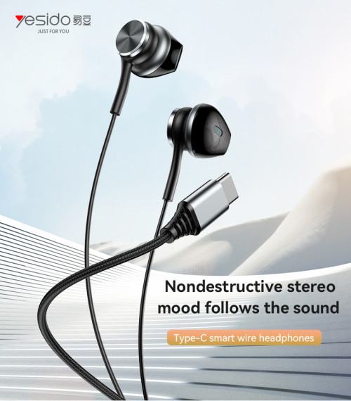 YH41 High Quality Aluminum Alloy With High-definition Microphone Type-C Wire Control Headphones