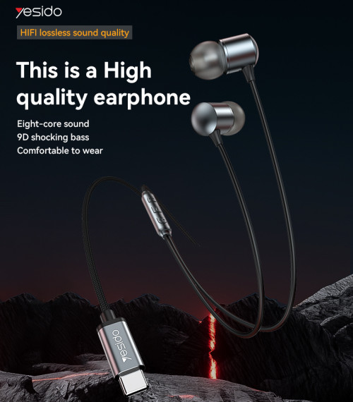 YH43 HIFI Lossless Sound Quality 10mm Dynamic Speaker Type-C Digital Interface In-ear Earphone