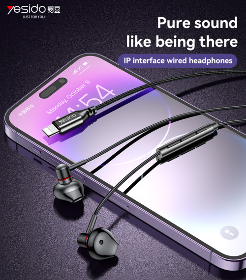 YH48 Aluminum Alloy In-ear Earphone With Remote Control IP Interface Wired Headphones