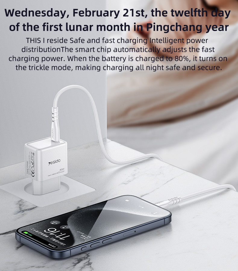 YC60 EU 20W GaN Fast Charging Wall Charger(Type-C Port) Details