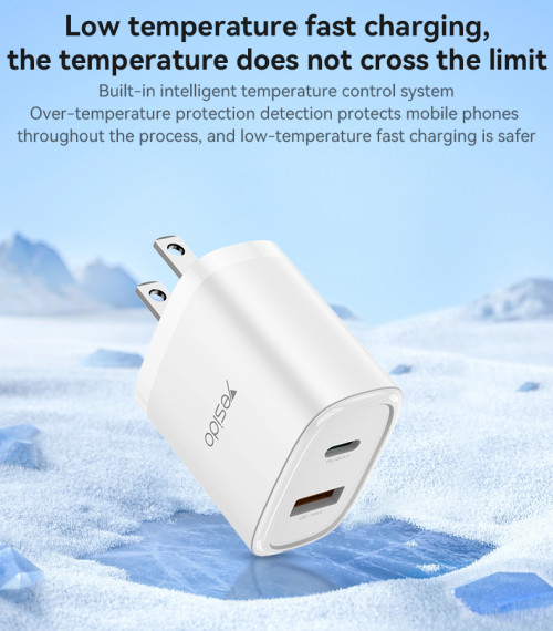 YC48U Multiple Protection PD20W + QC18W USB-C & USB Dual Port Fast Charging US Spec Charger