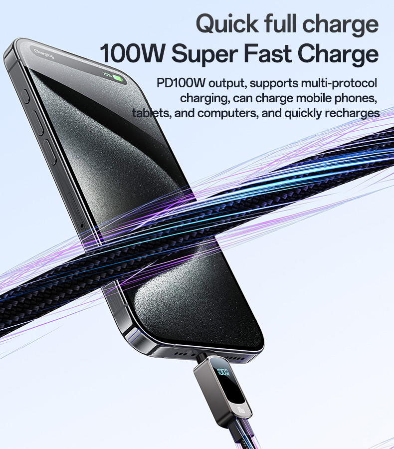 CA179 100W Type-C To Type-C Data Cable Details