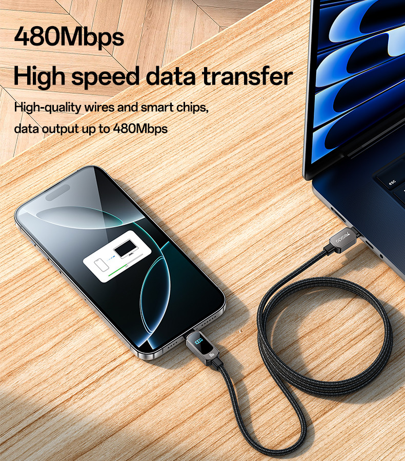 CA179 100W Type-C To Type-C Data Cable Details