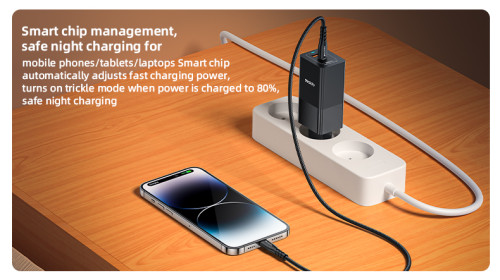 YC73 65W Fast Charging USB & Type-C Dual Ports PC Fireproof GaN European Specification Charger