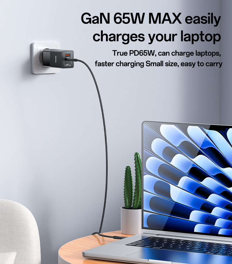 YC73 EU 65W Fast Charging Wall Charger(USB+TC) Details