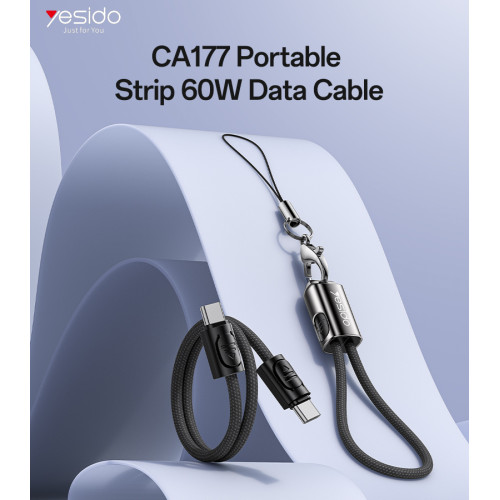 CA177 20CM 60W Type-C To Type-C OD4.0 Design With Premium Chips Zinc Alloy Portable Strip Data Cable