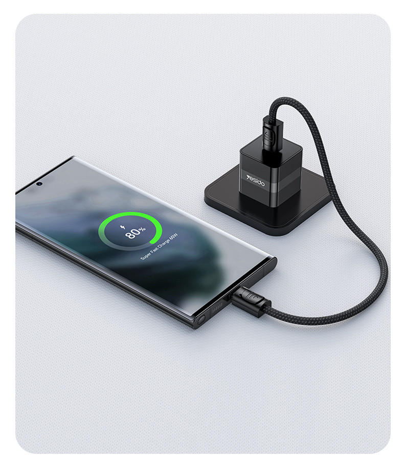 CA177 Type-C To Type-C 60W Fast Charging Data Cable Details