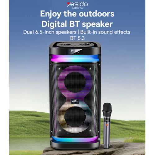 YSW29 40W BT5.3 Dual 6.5inch Speakers RGB Light With Microphone 4400mAh  Wireless Speaker