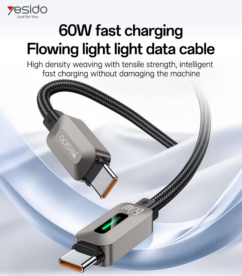 CA198 Type-C To Type-C 60W Fast Charging Data Cable