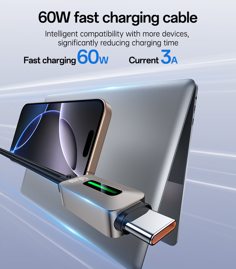 CA198 Type-C To Type-C 60W Fast Charging Data Cable Details