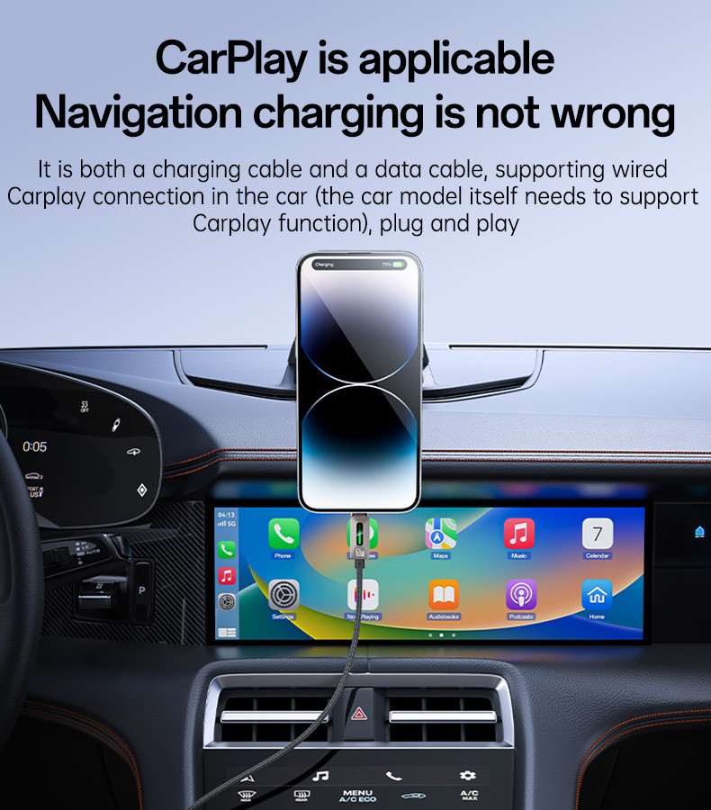 CA198 Type-C To Type-C 60W Fast Charging Data Cable Details