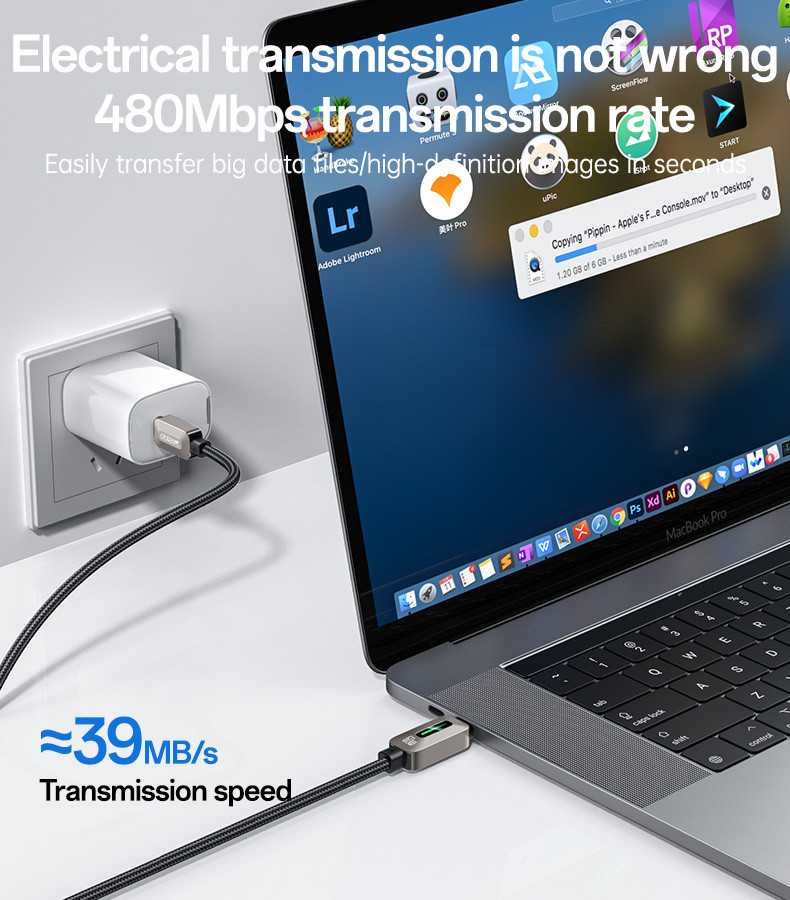 CA198 Type-C To Type-C 60W Fast Charging Data Cable Details
