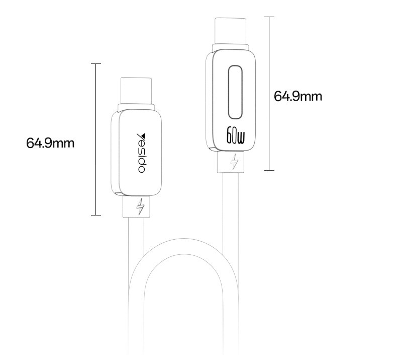 CA198 Type-C To Type-C 60W Fast Charging Data Cable Details