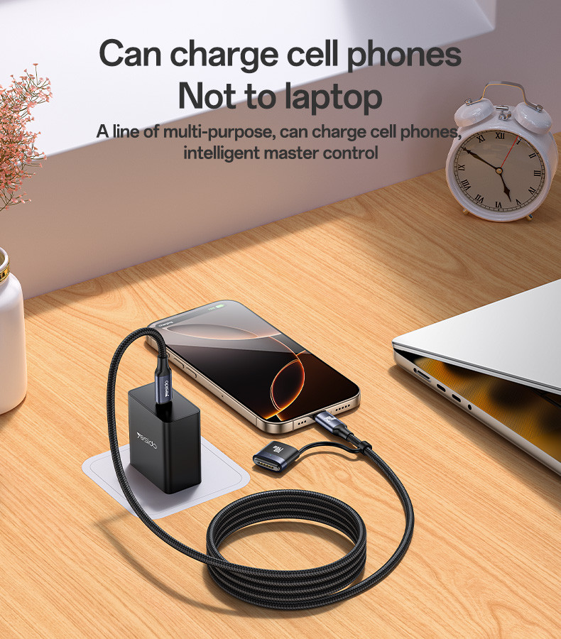 CA197 Type-C To Type-C/T 240W Fast Charging Data Cable Details